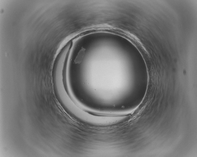 X0000070191176200606161543