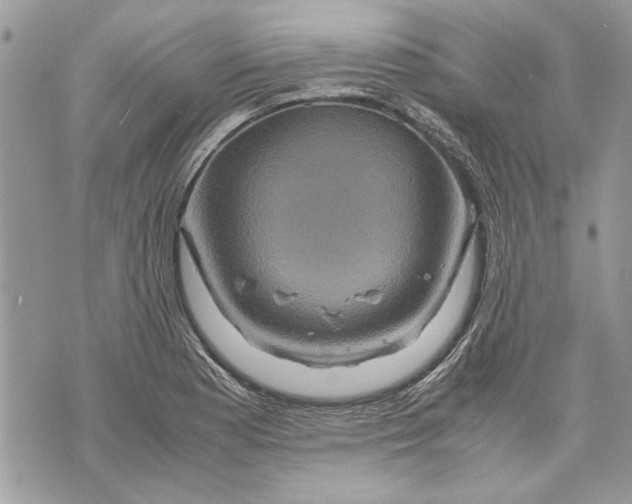 X0000070191177200606161543