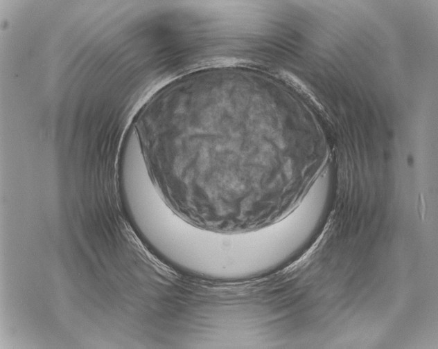 X0000070191178200606161543