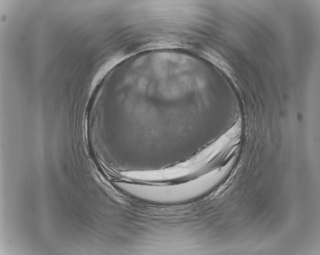 X0000070191179200606161543