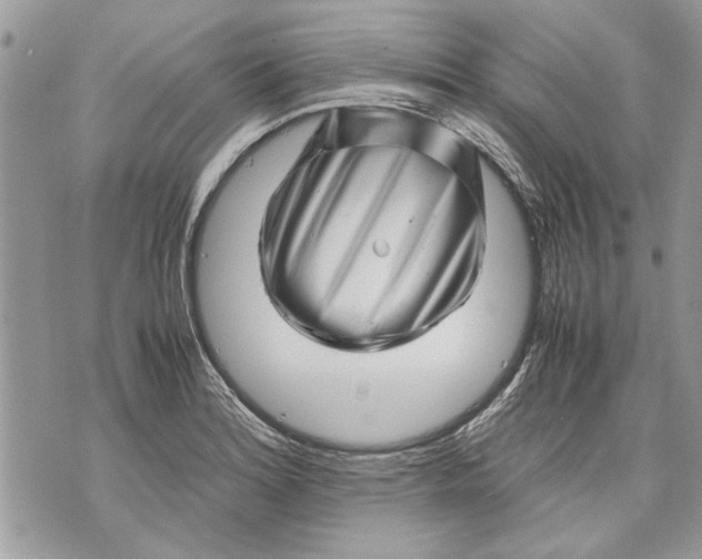 X0000070191180200606161543