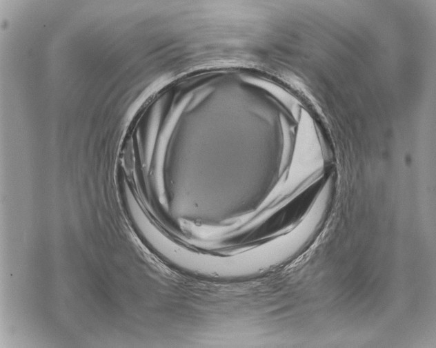 X0000070191181200606161543