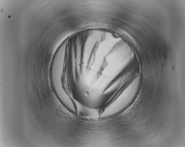 X0000070191182200606161543