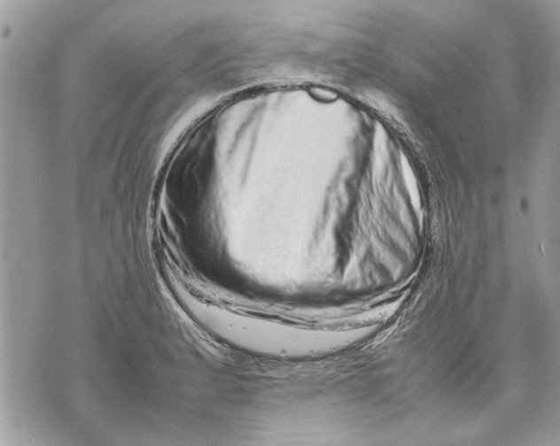 X0000070191183200606161543