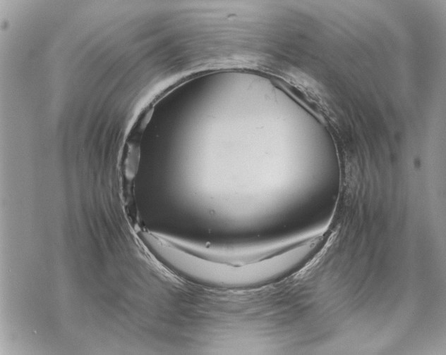 X0000070191184200606161543