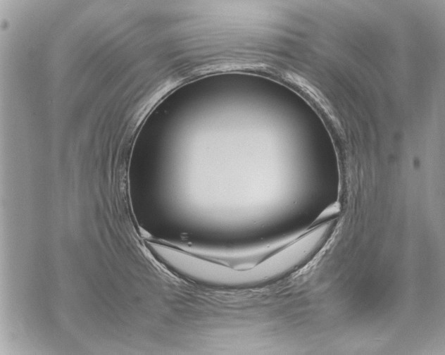 X0000070191185200606161543