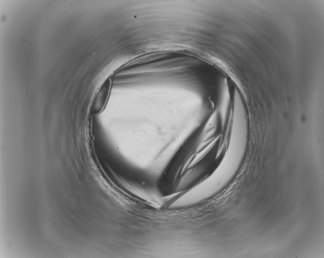 X0000070191187200606161543