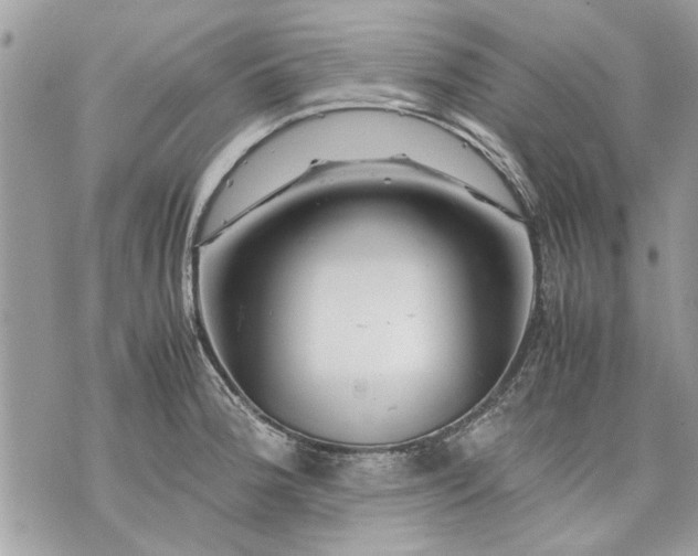 X0000070191188200606161543