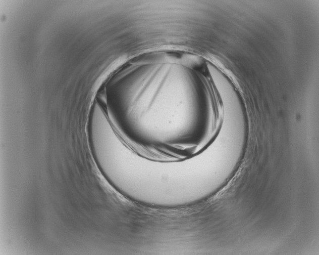 X0000070191189200606161543