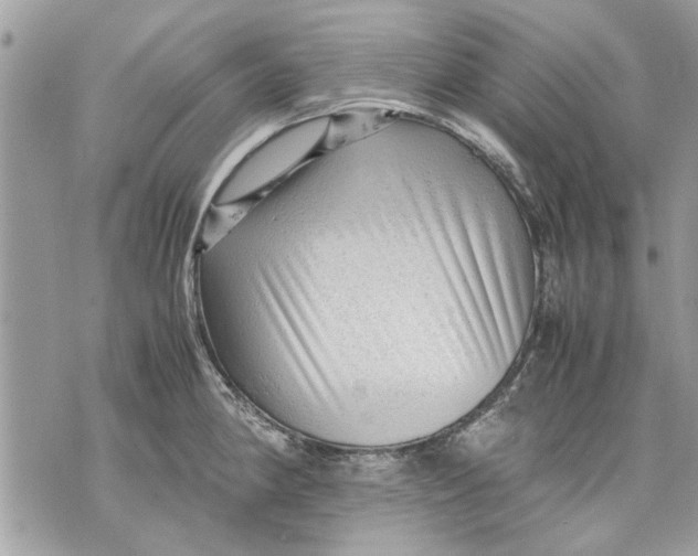 X0000070191190200606161543