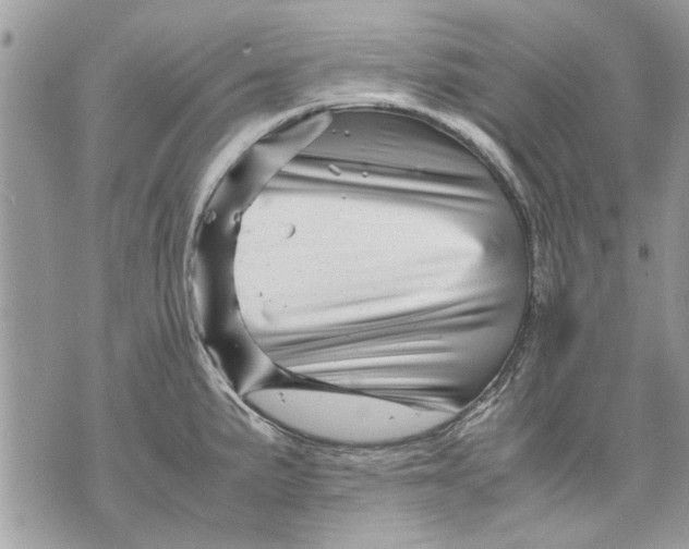 X0000070191191200606161543