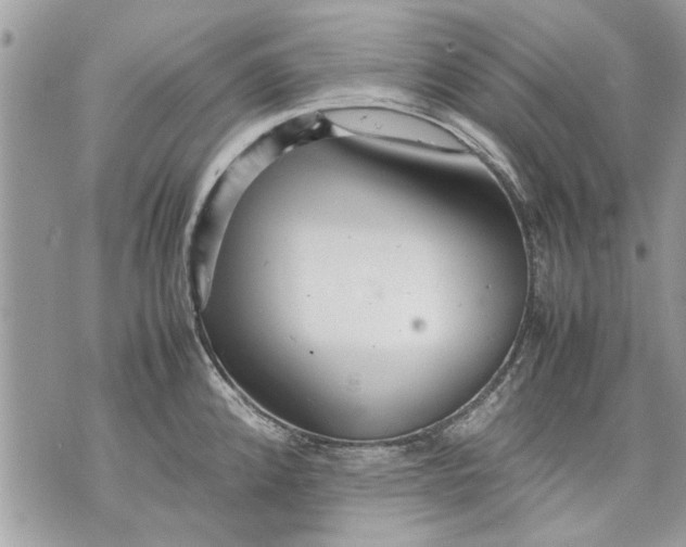 X0000070191192200606161543