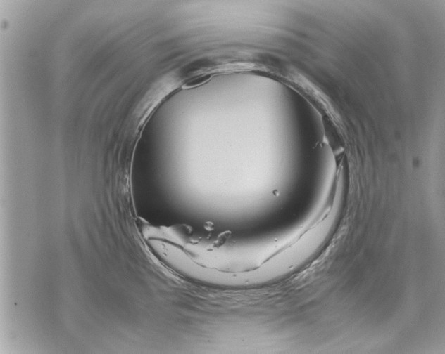 X0000070191193200606161543