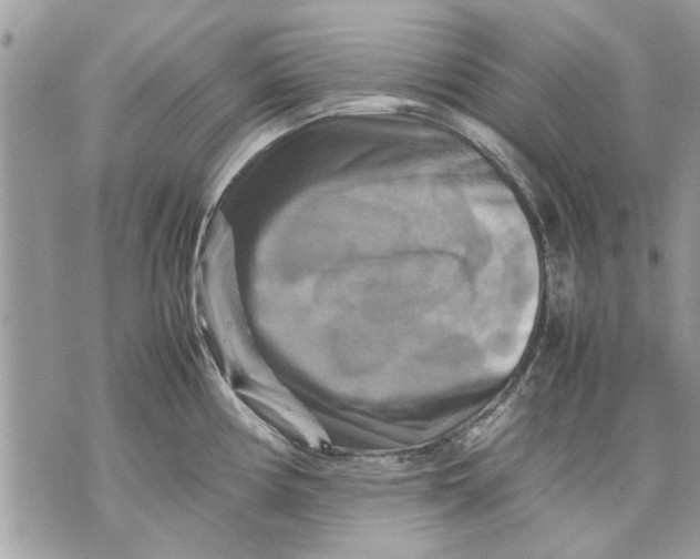 X0000070191194200606161543