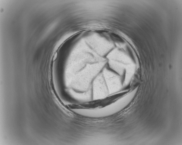 X0000070191195200606161543