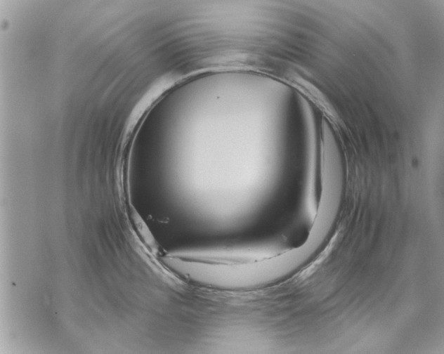 X0000070191196200606161543