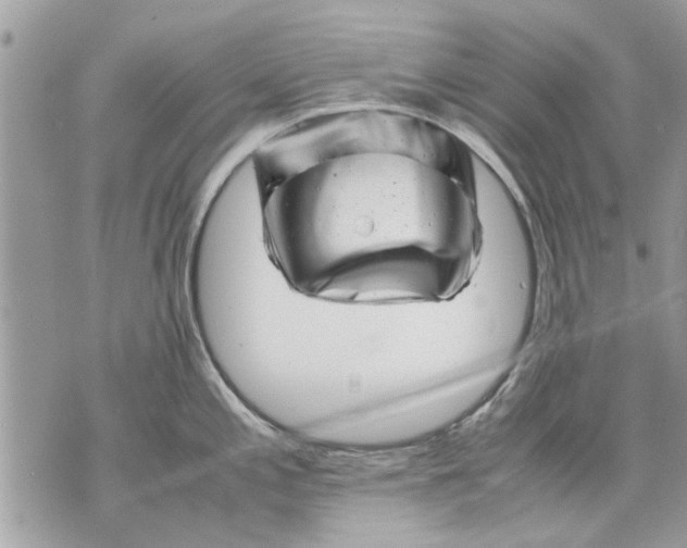 X0000070191197200606161543