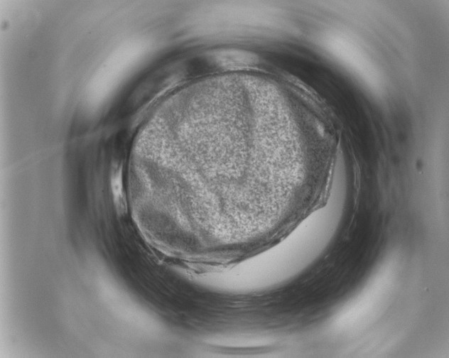 X0000070191198200606161543