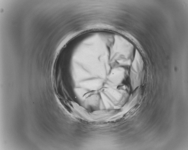 X0000070191199200606161543