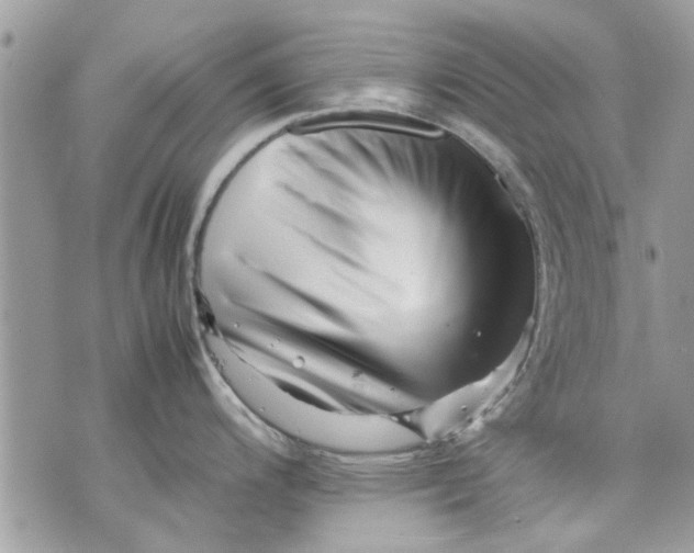 X0000070191200200606161543