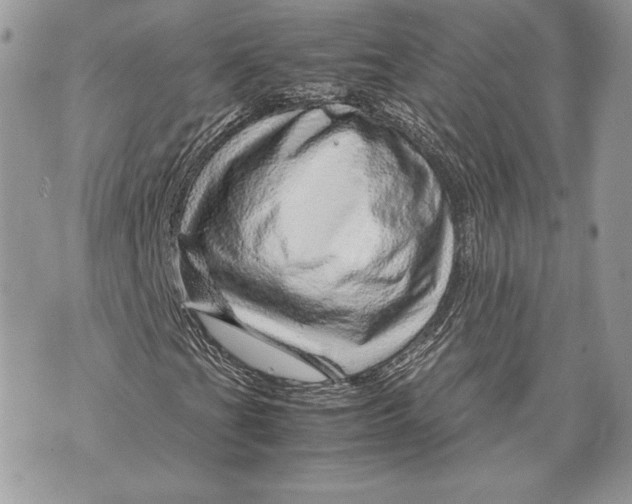 X0000070191201200606161542