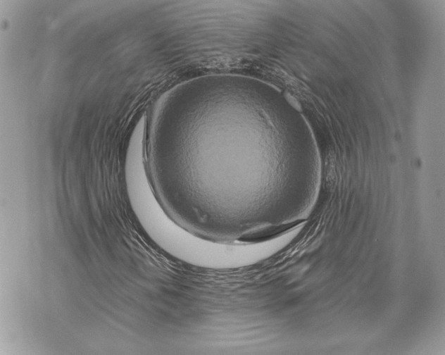 X0000070191202200606161542