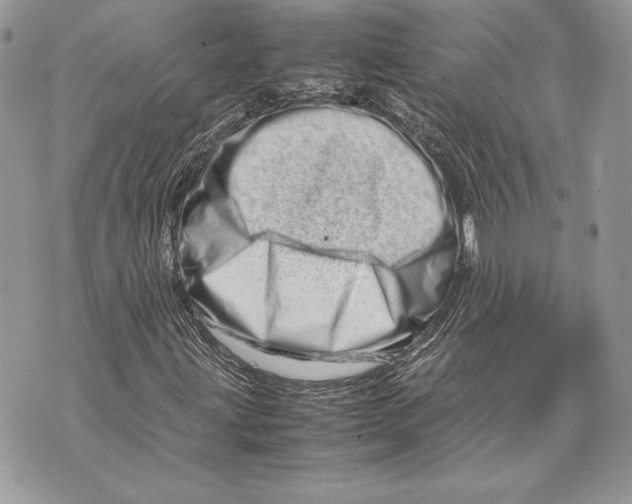 X0000070191203200606161542