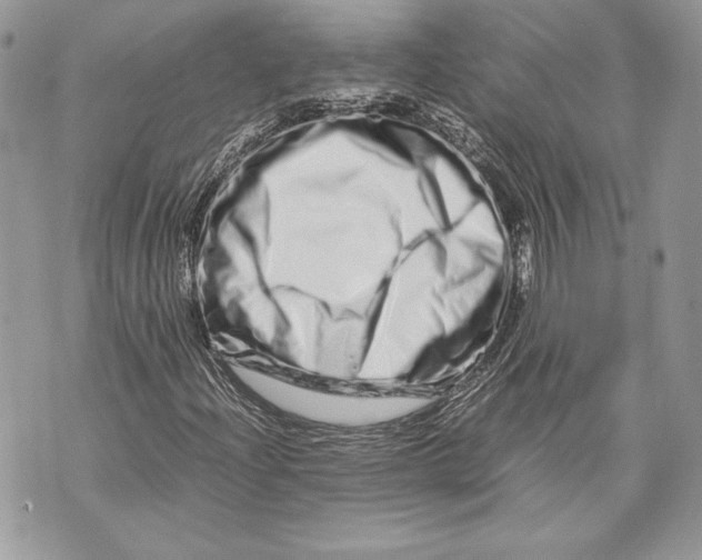 X0000070191204200606161542