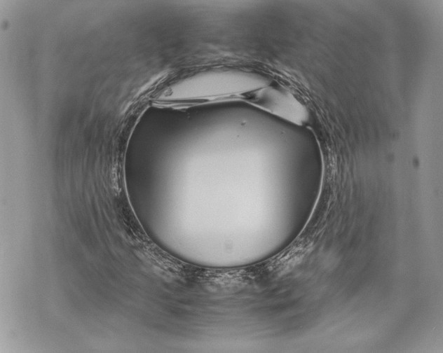 X0000070191205200606161542