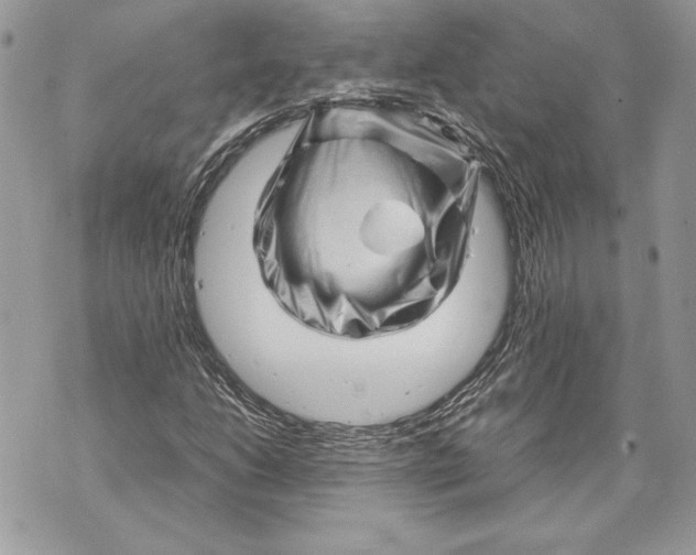 X0000070191206200606161542