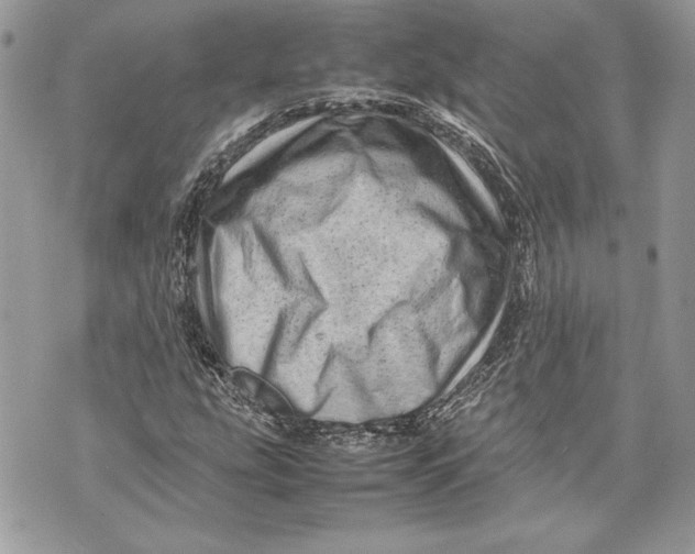 X0000070191207200606161542