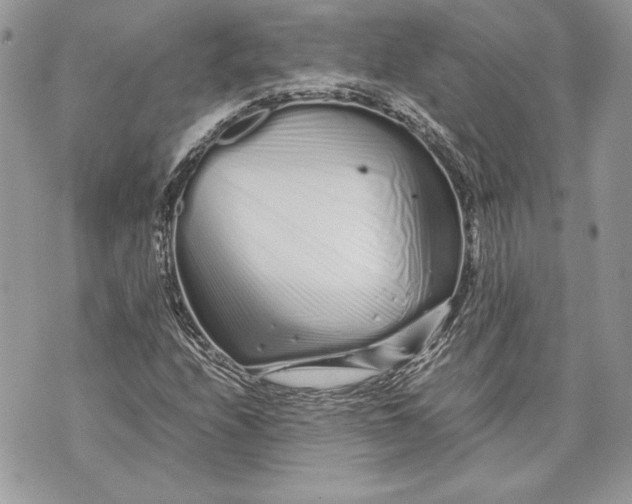 X0000070191208200606161542