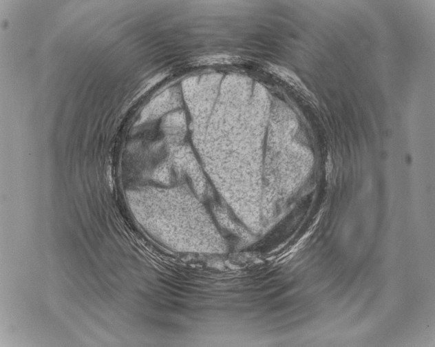 X0000070191209200606161542