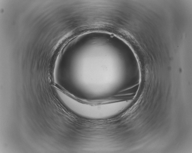 X0000070191210200606161542