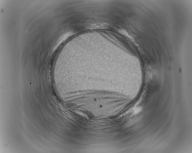 X0000070191211200606161542