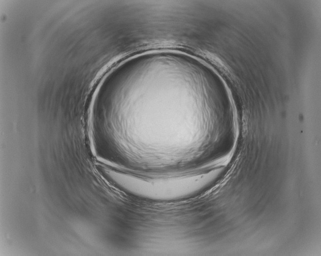 X0000070191212200606161542