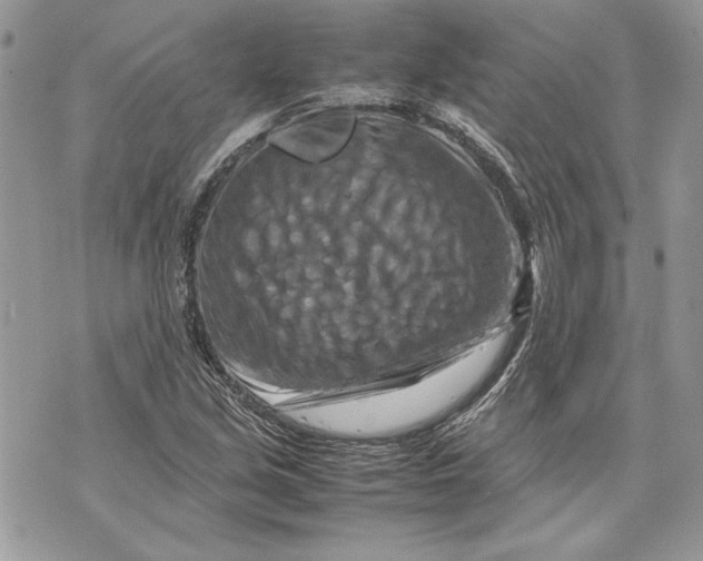 X0000070191213200606161542