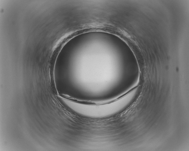 X0000070191214200606161542