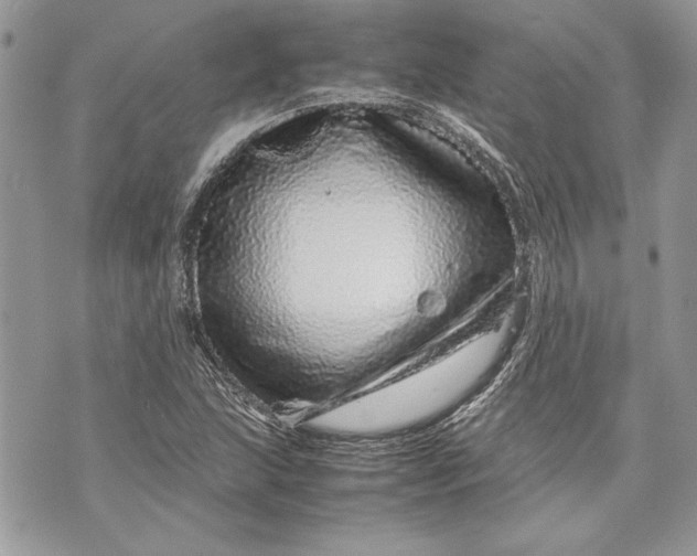 X0000070191215200606161542