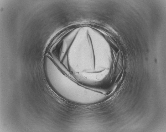 X0000070191216200606161542