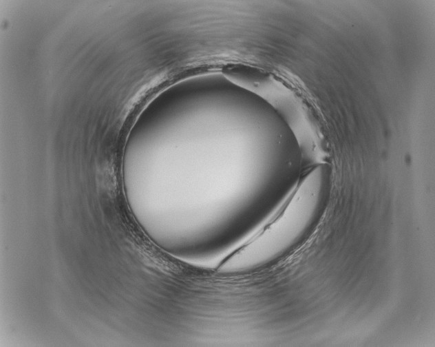 X0000070191218200606161542