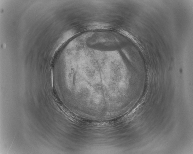 X0000070191219200606161542