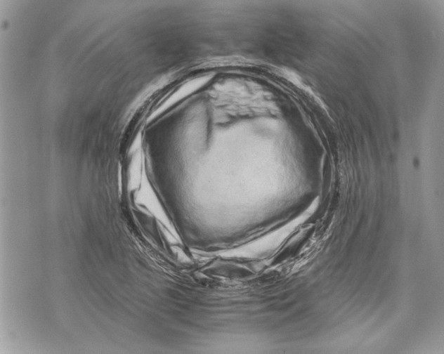 X0000070191221200606161542