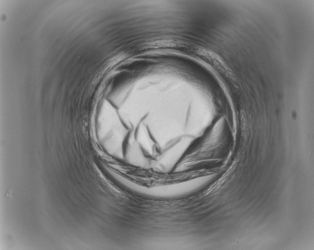 X0000070191225200606161542