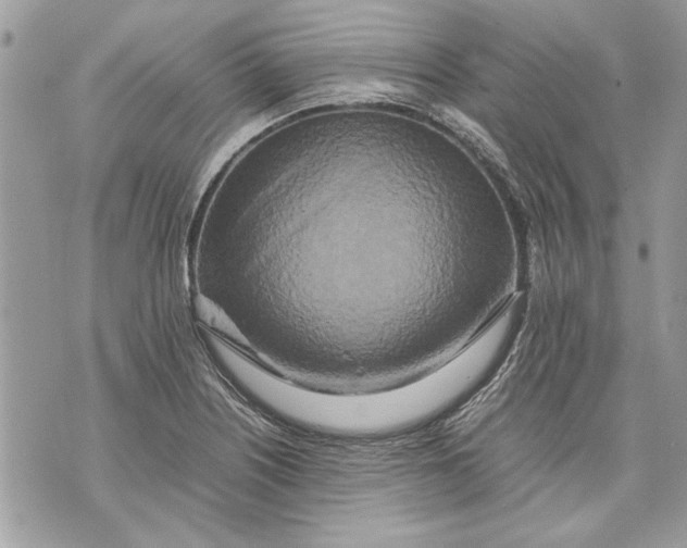 X0000070191226200606161542