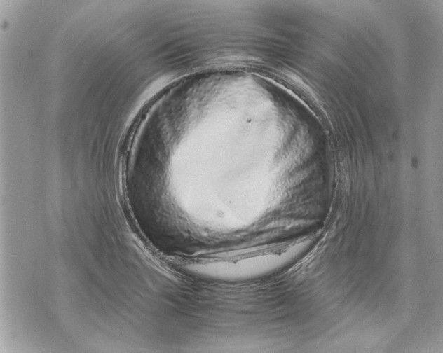 X0000070191227200606161542