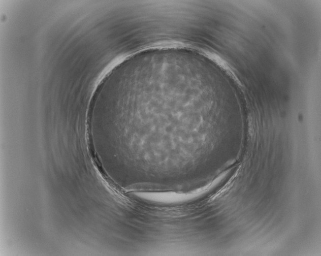 X0000070191229200606161542