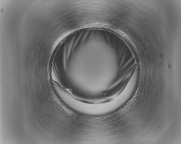 X0000070191230200606161542