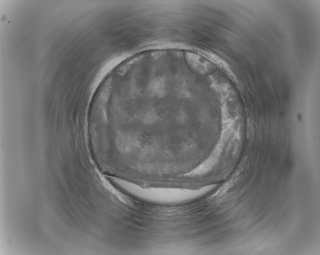 X0000070191231200606161542