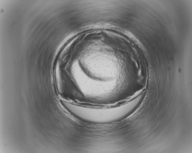 X0000070191232200606161542